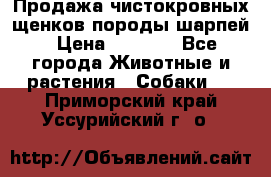 Продажа чистокровных щенков породы шарпей › Цена ­ 8 000 - Все города Животные и растения » Собаки   . Приморский край,Уссурийский г. о. 